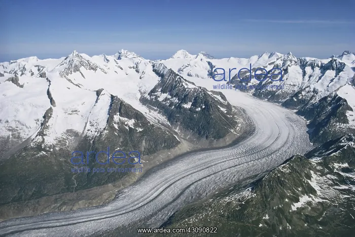 : Aletsch Glacier : Aletsch Glacier