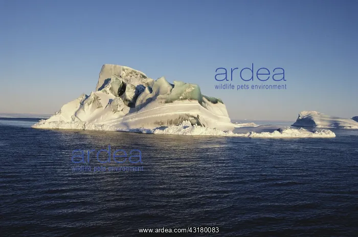 : Algae-colored Iceberg : Algae-colored Iceberg