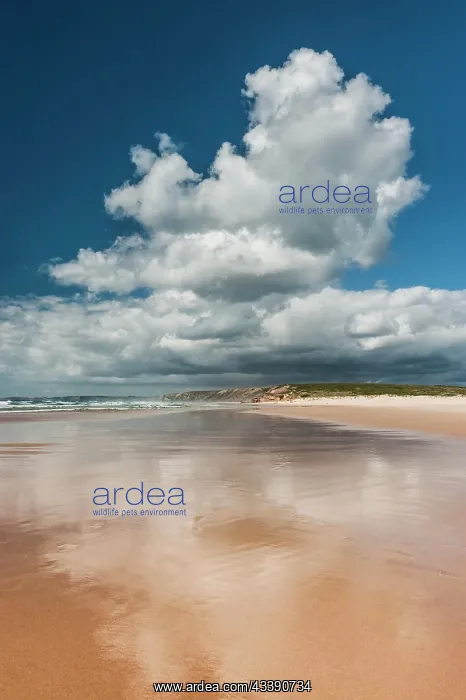  : Algarve beach, wide, nobody, clear, blue sky, cloud