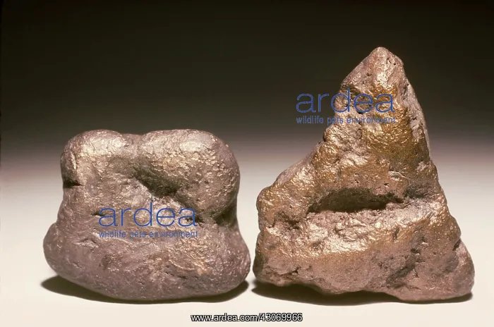 : Algodonite : Algodonite