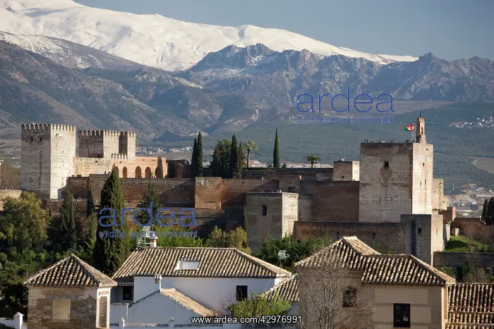  : Alhambra - Grenada - Spain
