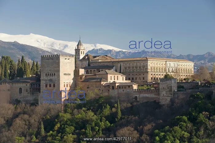  : Alhambra - Grenada - Spain