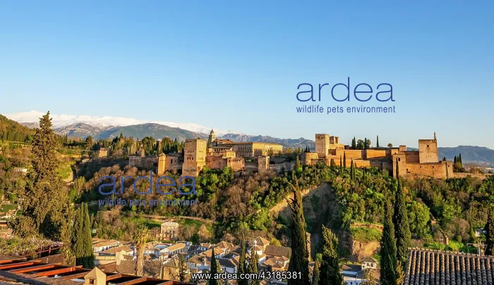 : Alhambra on the Sabikah hill at sunset, Moorish : Alhambra on the Sabikah hill at sunset, Moorish