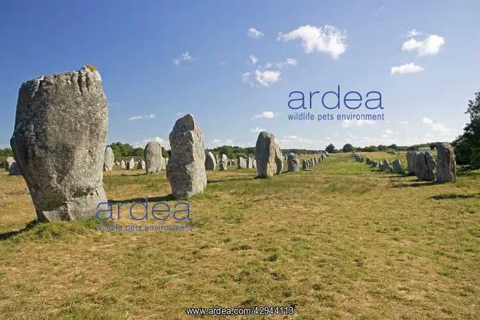  : Alignements de Menec lines of prehistoric megaliths