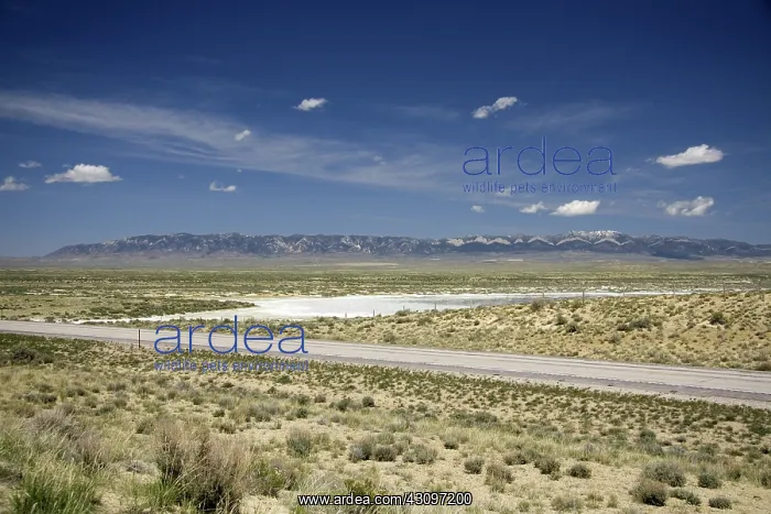 : Alkaline Salt Evaporation Pond : Alkaline Salt Evaporation Pond