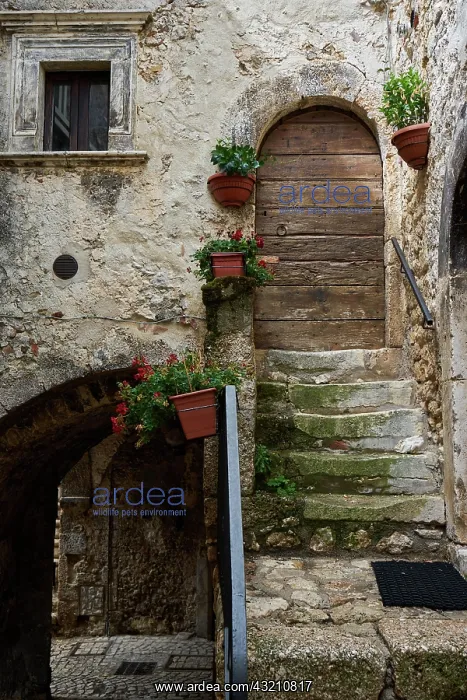 : Alley with archway, staircase, mountain village : Alley with archway, staircase, mountain village