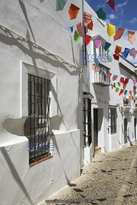 : Alley and brilliantly whitewashed, reja (grille)