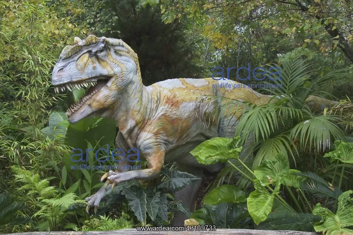 : Allosaurus : Allosaurus