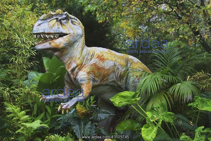 : Allosaurus : Allosaurus