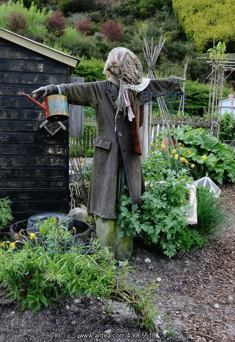 : Allotment : Allotment