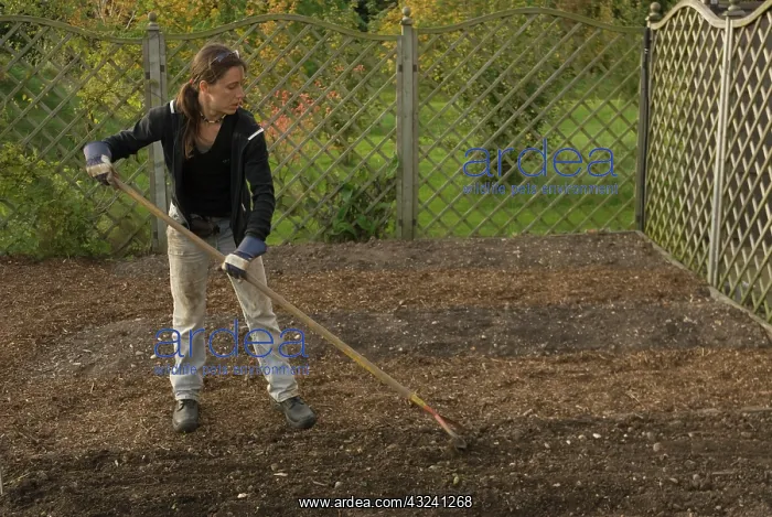 : Allotment : Allotment