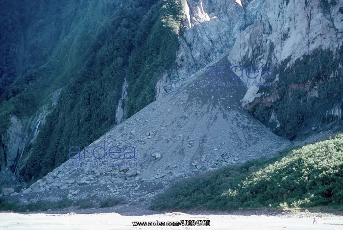 : Alluvial Fan : Alluvial Fan