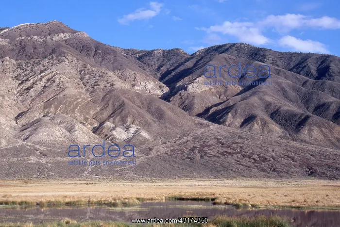 : Alluvial Fan : Alluvial Fan