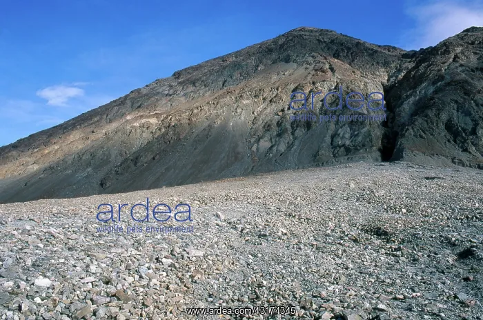 : Alluvial Fan, California : Alluvial Fan, California