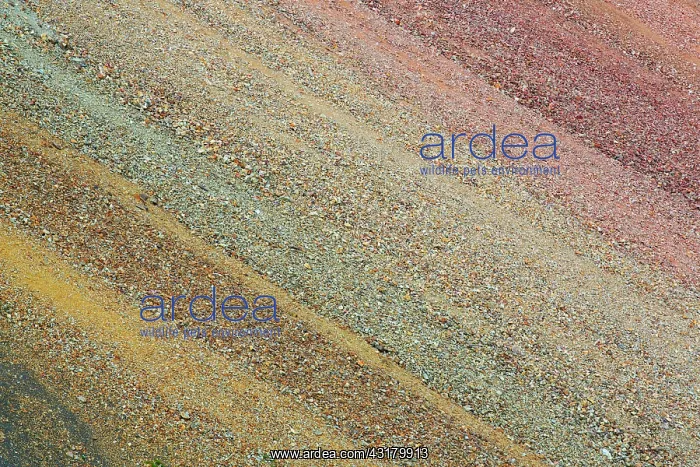 : Alluvial fan of different colors of rhyoliet : Alluvial fan of different colors of rhyoliet