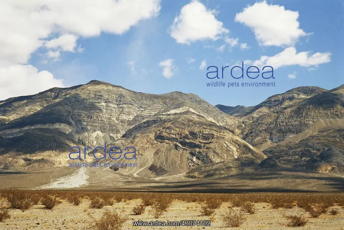 : Alluvial Fans : Alluvial Fans