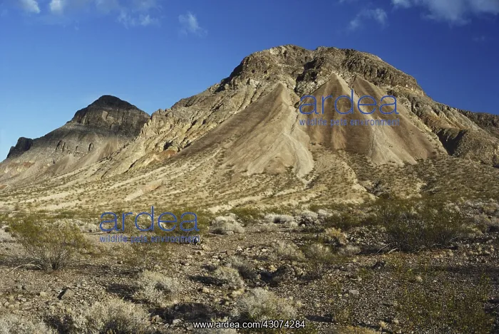: Alluvial Fans : Alluvial Fans