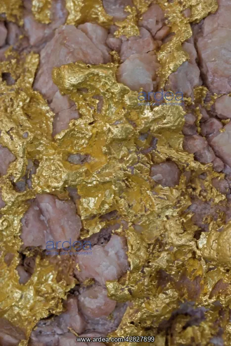 : Alluvial gold specimen with rosy quartz : Alluvial gold specimen with rosy quartz