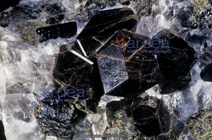 : Almandine from Connecticut : Almandine from Connecticut