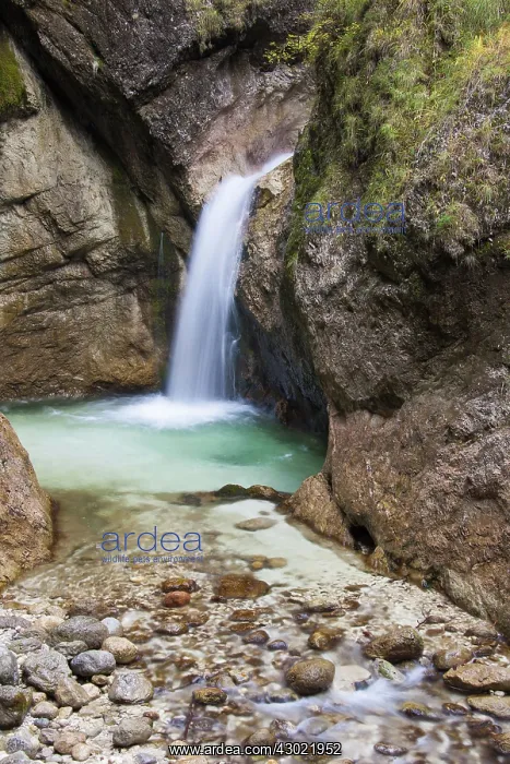 : Almbachklamm Canyon Autumn : Almbachklamm Canyon Autumn