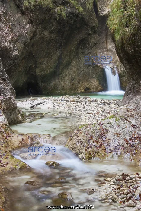 : Almbachklamm Canyon Autumn : Almbachklamm Canyon Autumn