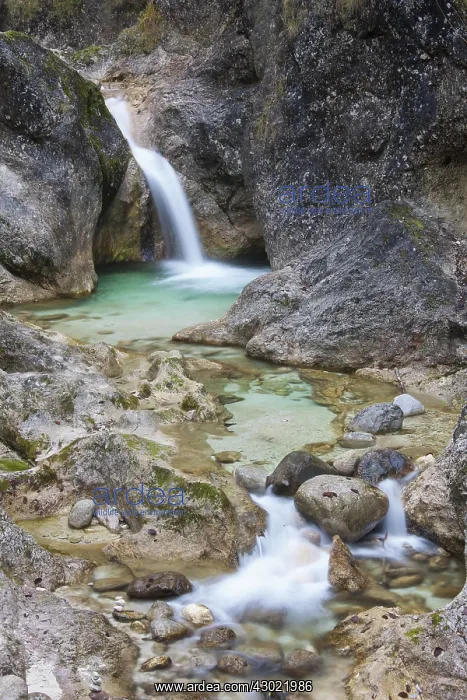 : Almbachklamm Canyon Autumn : Almbachklamm Canyon Autumn