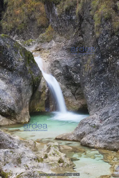 : Almbachklamm Canyon Autumn : Almbachklamm Canyon Autumn