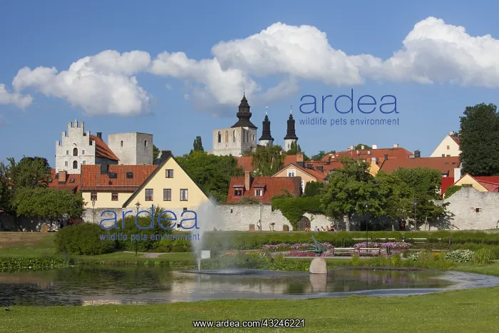  : Almedalen Park at Visby - Gotland - Sweden
