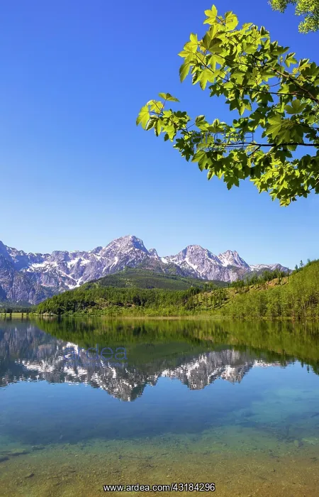 : Almsee, Granau im Almtal, Totes Gebirge, Salzkammergut : Almsee, Granau im Almtal, Totes Gebirge, Salzkammergut
