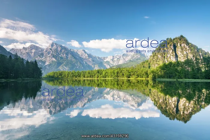 : Almsee with reflection, Totes Gebirge, Granau, Almtal : Almsee with reflection, Totes Gebirge, Granau, Almtal