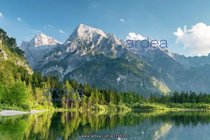: Almsee with Totem Gebirge, Granau, Almtal, Salzkammergut : Almsee with Totem Gebirge, Granau, Almtal, Salzkammergut
