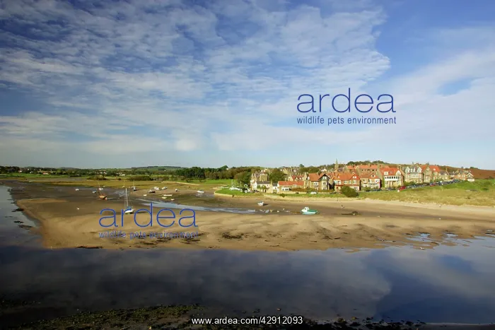 : Alnmouth - coastal village and holiday resort : Alnmouth - coastal village and holiday resort