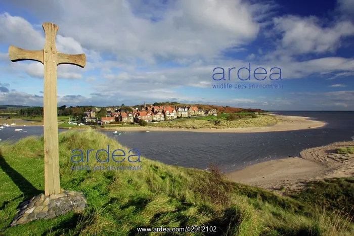 : Alnmouth coastal village and holiday resort, view : Alnmouth coastal village and holiday resort, view