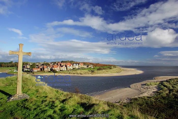 : Alnmouth coastal village and holiday resort, view : Alnmouth coastal village and holiday resort, view