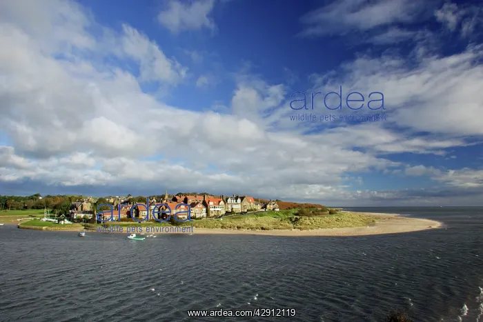 : Alnmouth coastal village and holiday resort, view : Alnmouth coastal village and holiday resort, view