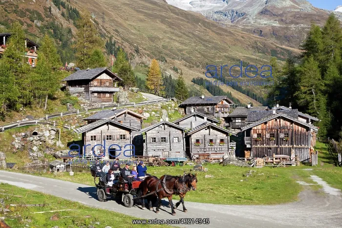 : The alp Aussergschloess in East Tyrol, national : The alp Aussergschloess in East Tyrol, national