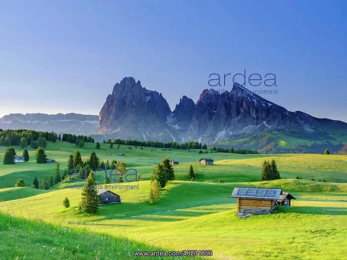  : Alpe di Siusi, Sassolungo, Plattkofel, in the morning