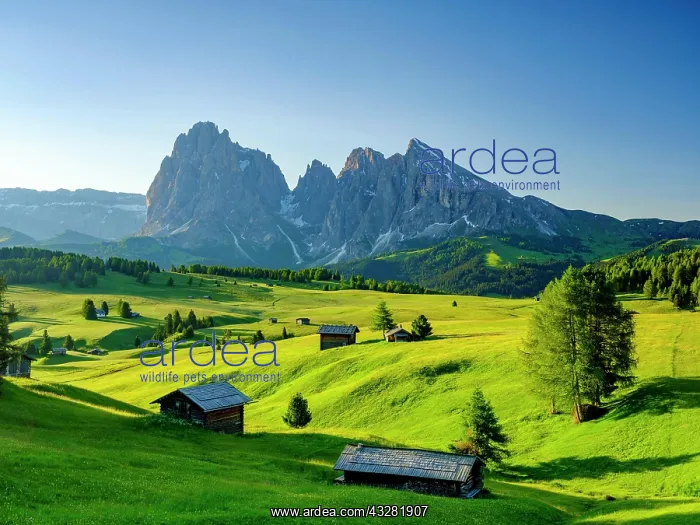 : Alpe di Siusi, Sassolungo, Plattkofel, in the morning : Alpe di Siusi, Sassolungo, Plattkofel, in the morning
