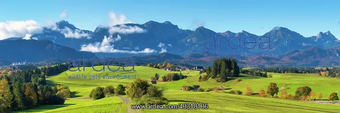 : Alpine foreland near Fussen, behind it the Allgau : Alpine foreland near Fussen, behind it the Allgau