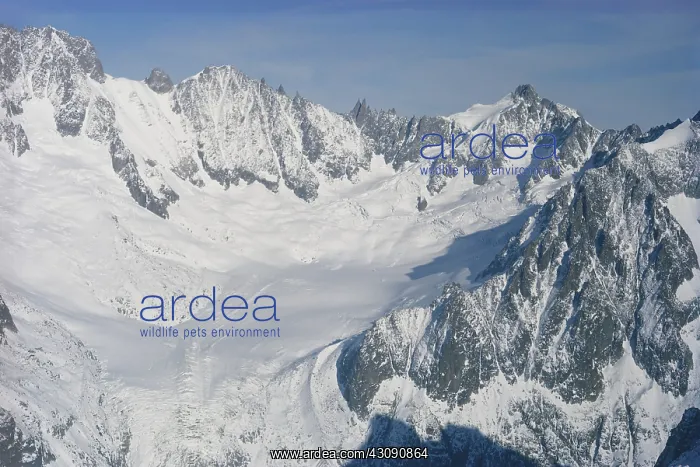 : Alpine Glacial Cirque : Alpine Glacial Cirque