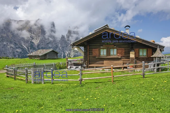 : Alpine hut on the Alpe di Siusi, Sciliar, Dolomites : Alpine hut on the Alpe di Siusi, Sciliar, Dolomites
