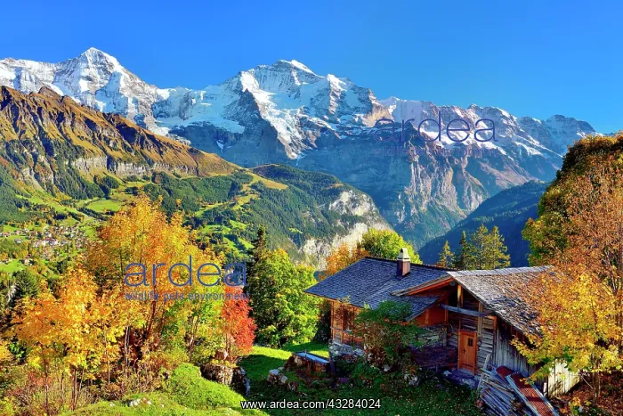 : Alpine hut with autumn-coloured deciduous trees : Alpine hut with autumn-coloured deciduous trees
