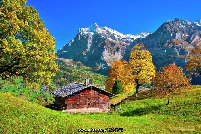 : Alpine hut above Grindelwald, Mt Wetterhorn at the : Alpine hut above Grindelwald, Mt Wetterhorn at the