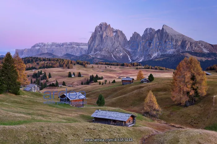: Alpine huts on the Alpe di Siusi, autumn, sunset : Alpine huts on the Alpe di Siusi, autumn, sunset