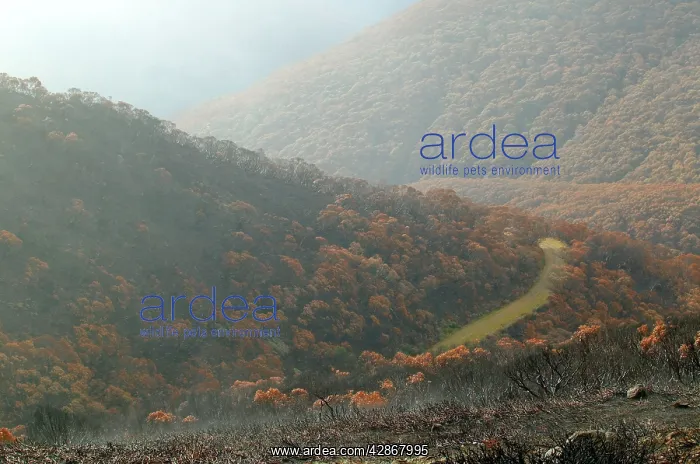 : Alpine National Park : Alpine National Park