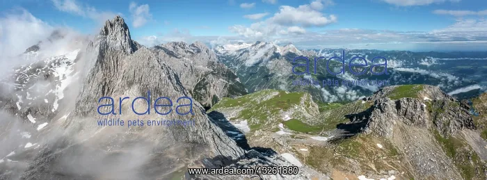 : Alpine panorama, aerial view, Wettersteingrad with : Alpine panorama, aerial view, Wettersteingrad with