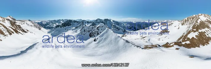 : Alpine panorama, Mitterzeigerkogel, aerial view : Alpine panorama, Mitterzeigerkogel, aerial view