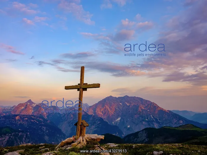 : Alpine panorama with Watzmann (right) and Gro&, x7e5;r : Alpine panorama with Watzmann (right) and Gro&, x7e5;r