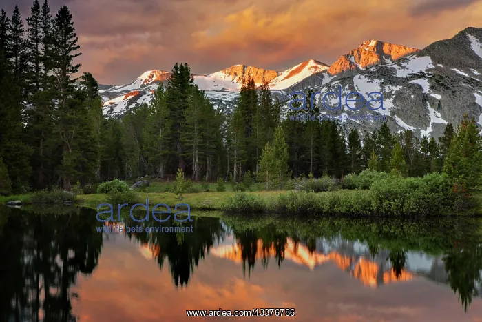 : Alpine tarn, Tuolumne Meadows sunrise, Yosemite : Alpine tarn, Tuolumne Meadows sunrise, Yosemite