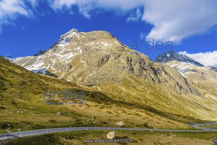 : Alps mountains with snow Bivio : Alps mountains with snow Bivio